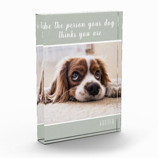 自分の犬になれ考えば| ドグレイ フォトブロック (左)