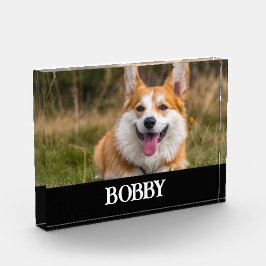 自分の犬の写真と名前を追加する フォトブロック