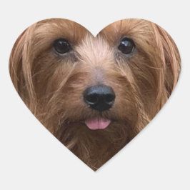 自分の犬の写真をカスタマイズしよう ペット 子犬 ハートシール