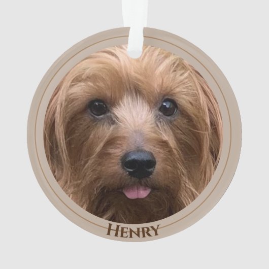 自分の犬の写真を作成カスタムするペットの子犬の名前 オーナメント (裏面)