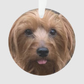 自分の犬の写真を作成カスタムするペットの子犬 オーナメント (正面)