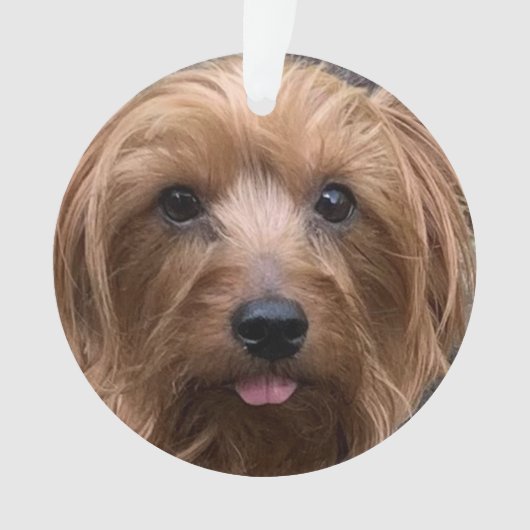 自分の犬の写真を作成カスタムするペットの子犬 オーナメント (正面)