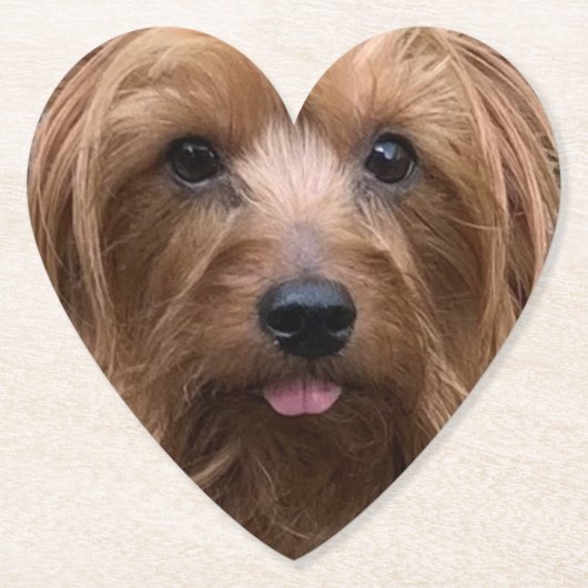 自分の犬の写真を作成カスタムするペットの子犬 ペーパーコースター (正面)