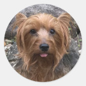 自分の犬の写真を作成カスタムする ラウンドシール (正面)