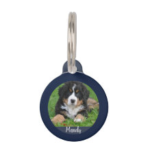 自分の犬の写真名情報を作連絡る