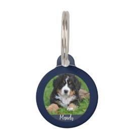 自分の犬の写真名情報を作連絡る ペット　ネームタグ