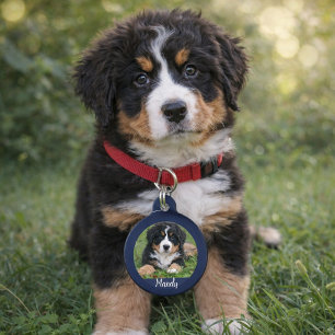 自分の犬の写真名情報を作連絡る ペット ネームタグ