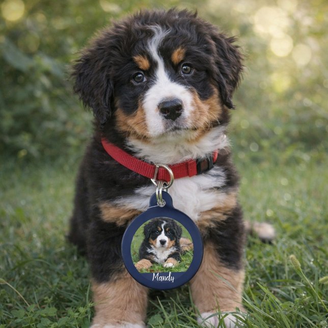 自分の犬の写真名情報を作連絡る ペット　ネームタグ (Make your own dog photo name contact information pet tag. )