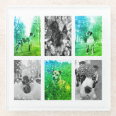 自分の犬笑わされる写真を作成🐶🍹 ガラスコースター (正面)