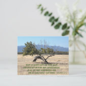 自分の理解に頼らない ポストカード (スタンド正面)