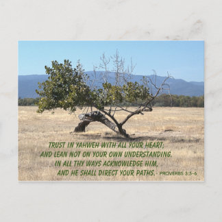 自分の理解に頼らない ポストカード