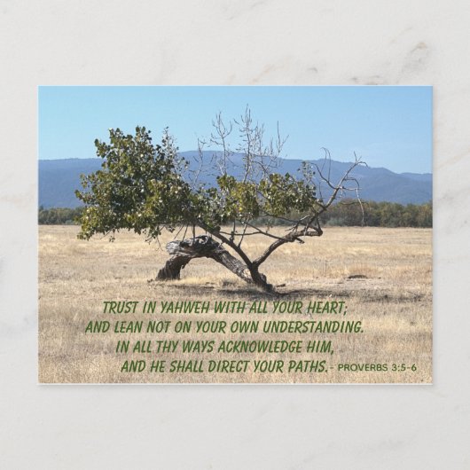 自分の理解に頼らない ポストカード (正面)