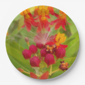 自分の美しい緑の赤い黄色の花芽をクレタ ペーパープレート (正面)