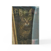 自分の考えを反映した窓の中の猫