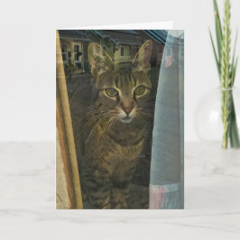 自分の考えを反映した窓の中の猫 カード
