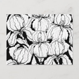 自分の虹彩の花に色を付ける ポストカード