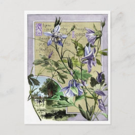 自分の道を見せてくれ ポストカード