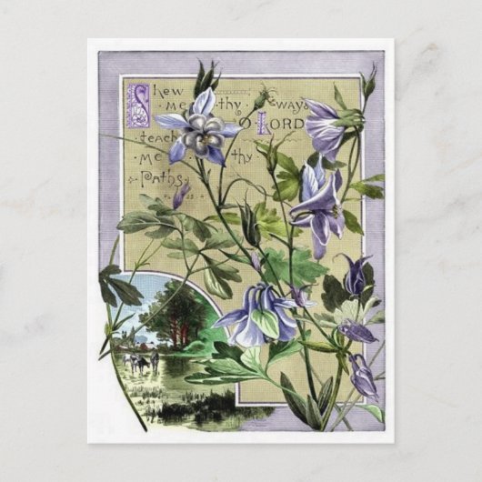 自分の道を見せてくれ ポストカード (正面)