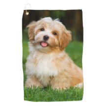 自分の飼カスタム犬の猫を作る