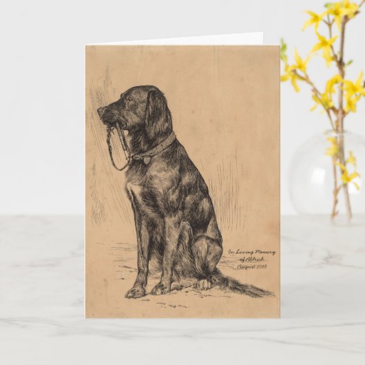 自分の首輪を持つ孤独な犬、悔やみや弔慰ペット カード (黄色い花)