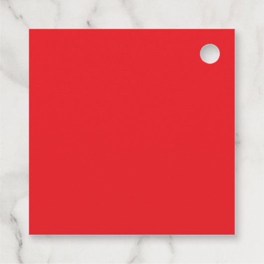 自分のQRコードを瞬時に作成 | 編集可能な赤 フェイバータグ (裏面)