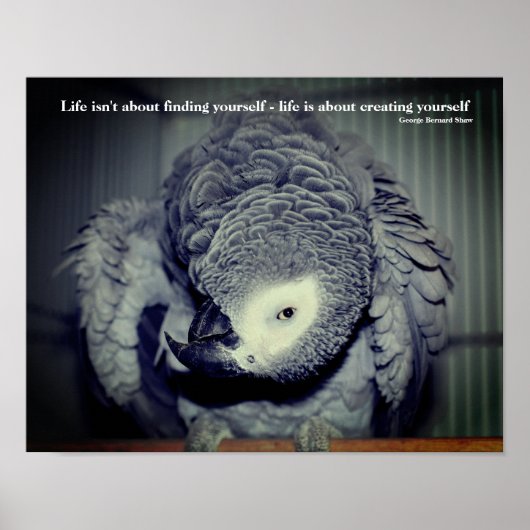 自分らしく Cute Parrot 励ましの言葉 ポスター (正面)