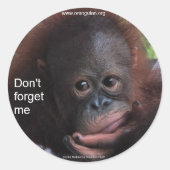 自分を忘れ使わない(霊長類ベビー) ラウンドシール (正面)