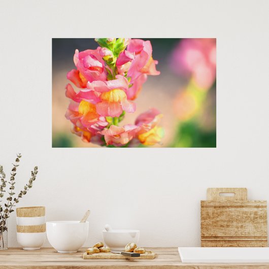 自分を照らす ポスター (キッチン)