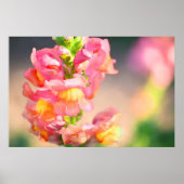 自分を照らす ポスター (正面)