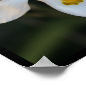 自分を真実の引用文のポスターインスパイアにする ポスター (角)