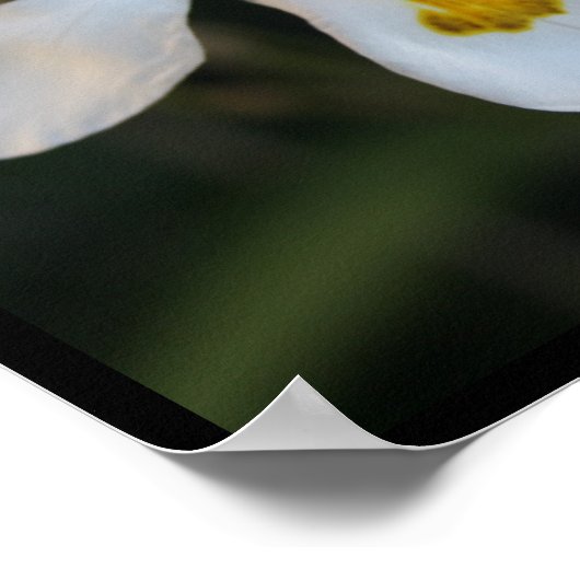 自分を真実の引用文のポスターインスパイアにする ポスター (角)