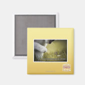 自分を破滅させる マグネット (正面/裏面)