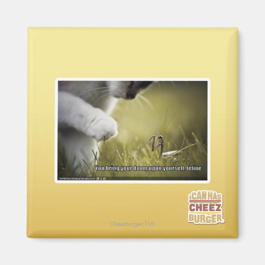 自分を破滅させる マグネット (正面)