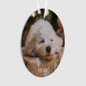 自分パーソナライズされたの写真を作成 オーナメント (正面)