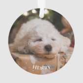 自分パーソナライズされたの写真を作成 オーナメント (裏面)