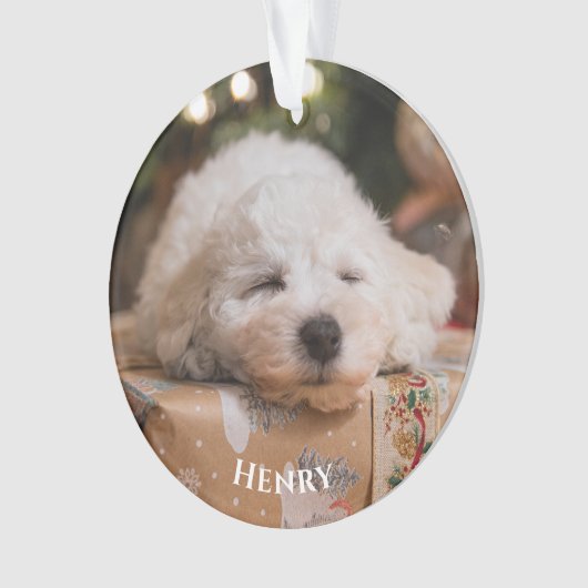 自分パーソナライズされたの写真を作成 オーナメント (正面)