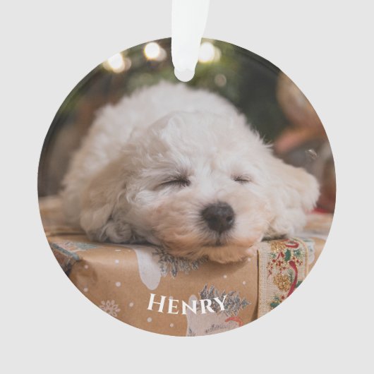 自分パーソナライズされたの写真を作成 オーナメント (正面)