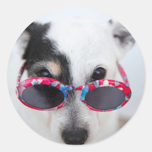 自分モダンの写真を作カスタム成 ラウンドシール (正面)