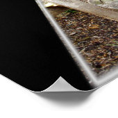 自分信じでbearcatの伝言 ポスター (角)