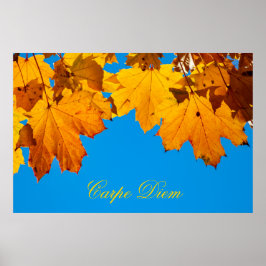 自分好みにカスタマイズできるカラフルな葉のポスター「Carpe Diem」 ポスター