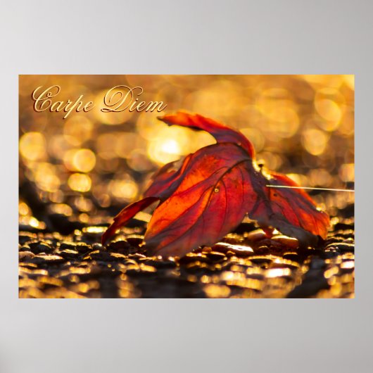 自分好みにカスタマイズできるカラフルな葉のポスター「Carpe Diem」 ポスター (正面)