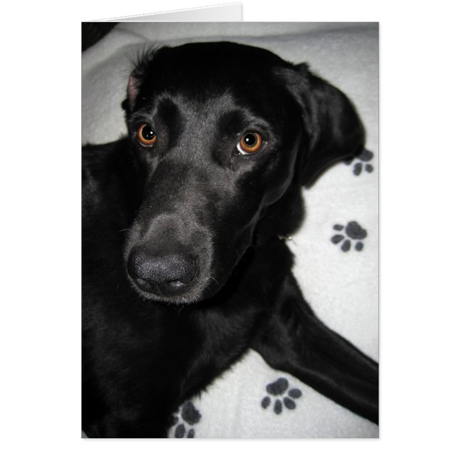 自分自身を救済できません (正面)