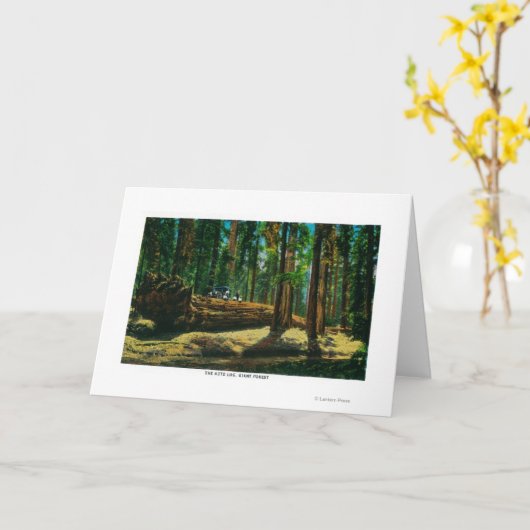 自動ログインの巨大な森林、レッドウッド カード (黄色い花)