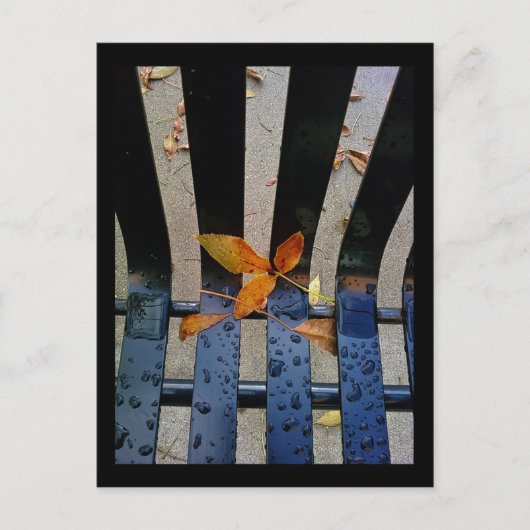 自動車のベンチ ポストカード (正面)