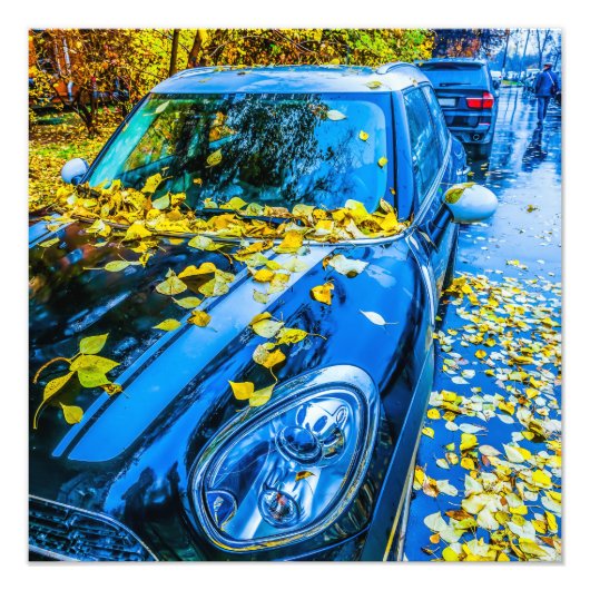 自動車、自動車 – シーズン落ちたズ葉 フォトプリント            (正面)