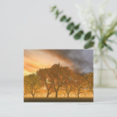 自動 ポストカード (スタンド正面)