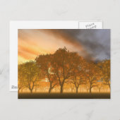 自動 ポストカード (正面/裏面)