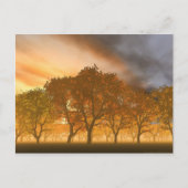 自動 ポストカード (正面)