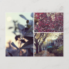 自動 ポストカード