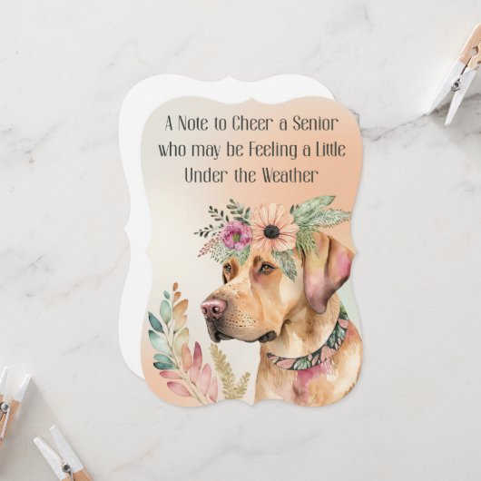 自宅で女性または男性のシニアのウェルカードを取得する カード (正面/裏面インサイチュ)